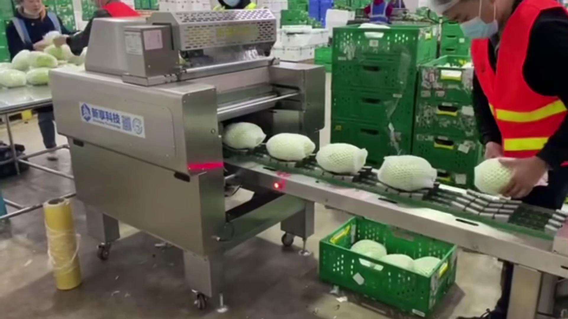 Automatic cling film wrapping machine 新享科技官网
